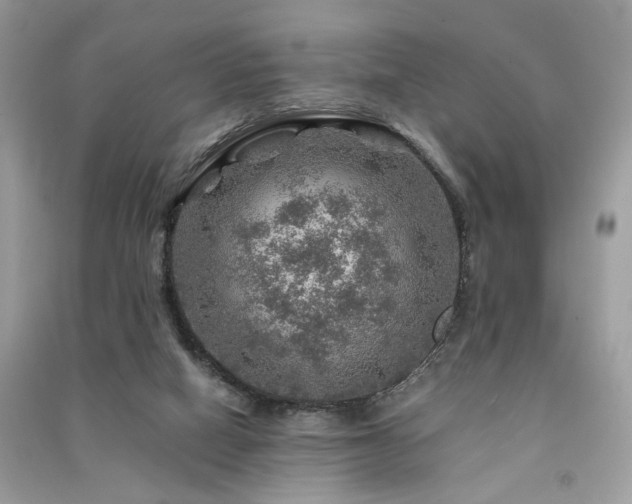 X0000091360066200708101428