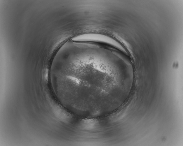 X0000091360067200708101428