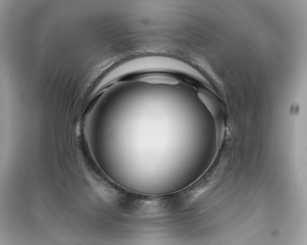 X0000091360068200708101428