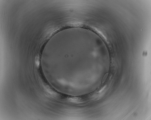 X0000091360069200708101428