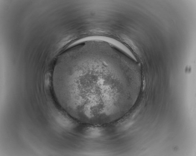 X0000091360071200708101428