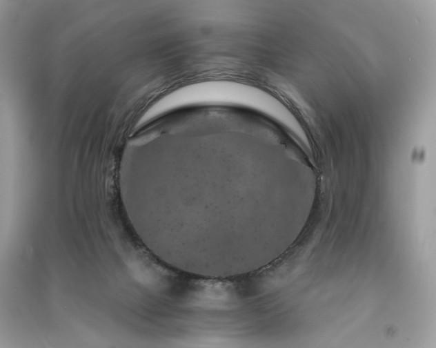X0000091360073200708101428