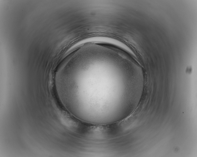 X0000091360074200708101428