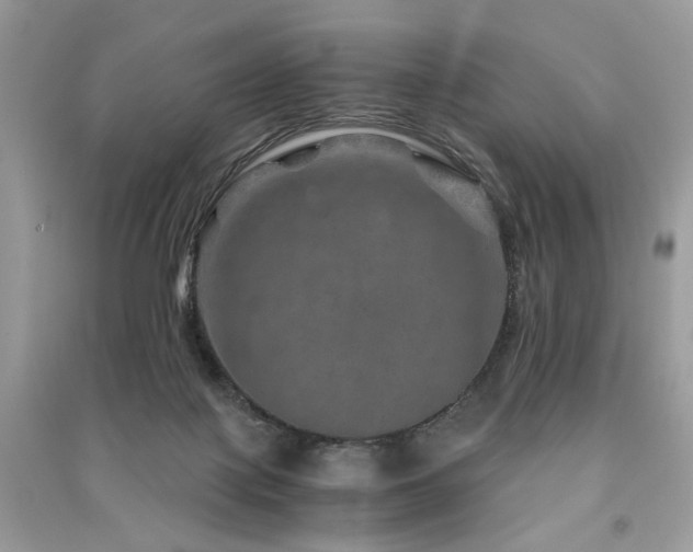 X0000091360075200708101428