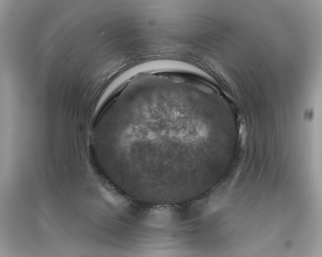 X0000091360076200708101428