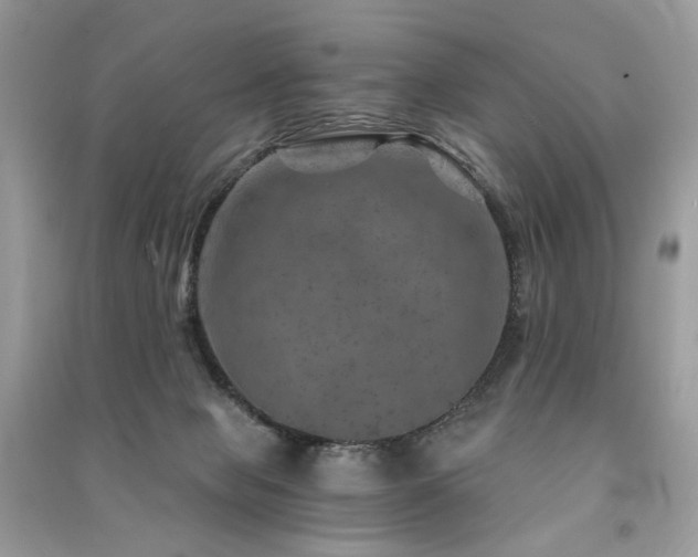 X0000091360077200708101428