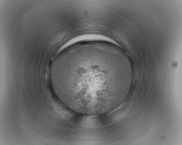 X0000091360078200708101428