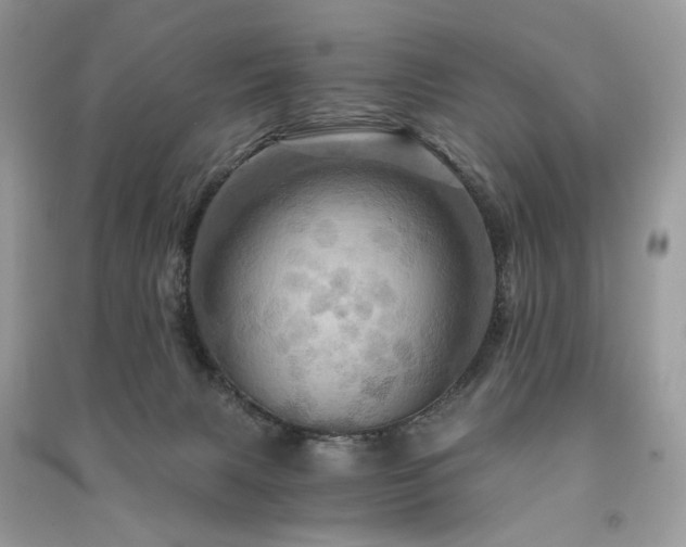 X0000091360079200708101428