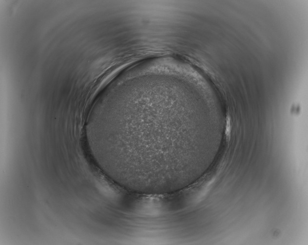 X0000091360080200708101428