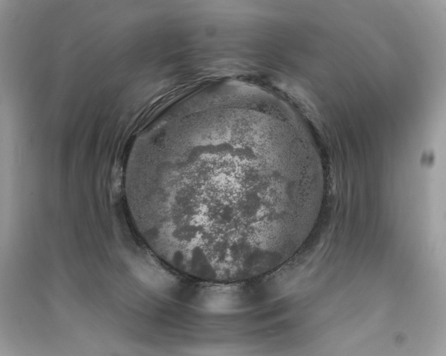 X0000091360081200708101428