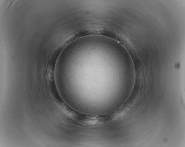 X0000091360083200708101428