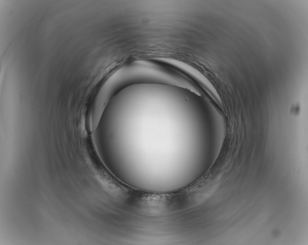 X0000091360084200708101428