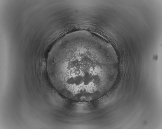 X0000091360085200708101428