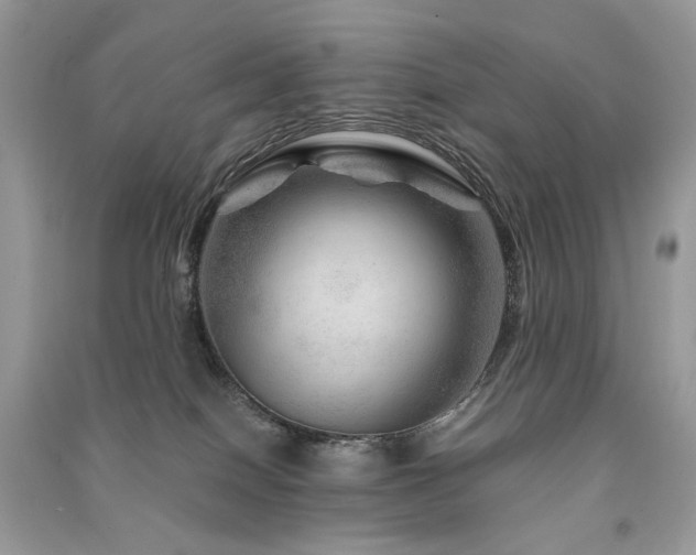 X0000091360086200708101428