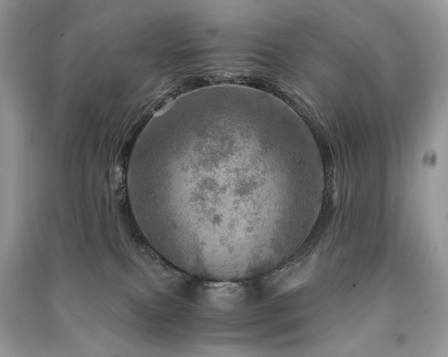 X0000091360087200708101428