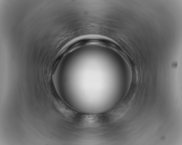 X0000091360088200708101428