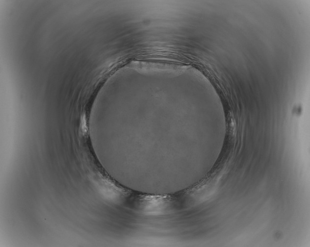 X0000091360089200708101428