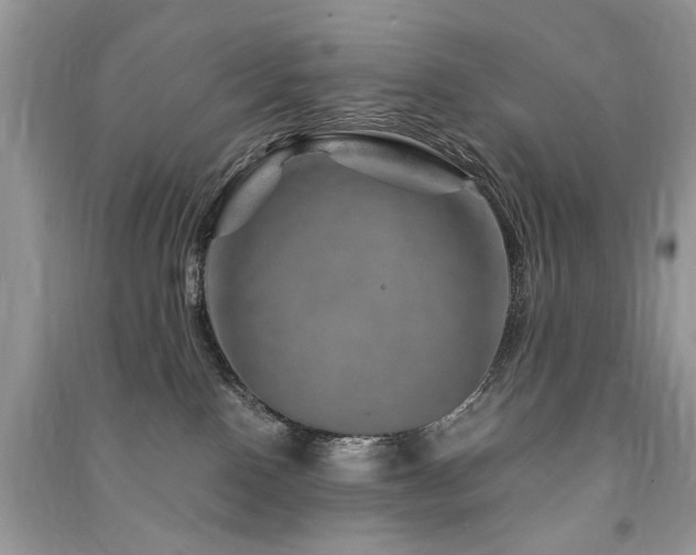 X0000091360090200708101428