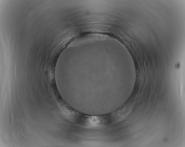 X0000091360091200708101428