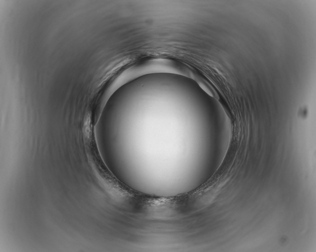 X0000091360092200708101428