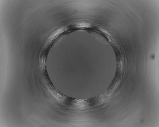 X0000091360093200708101428
