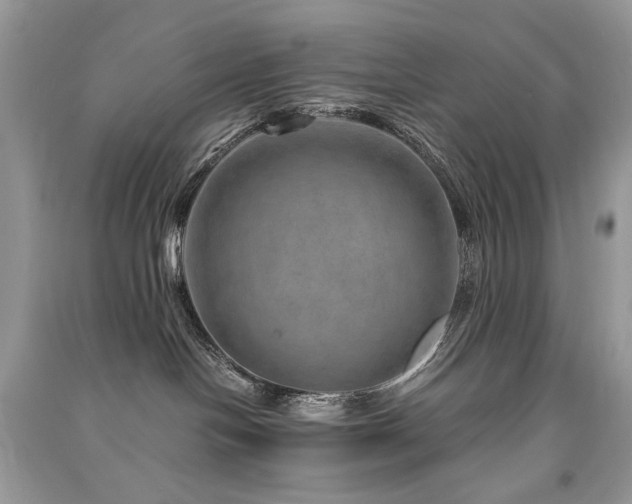 X0000091360094200708101428