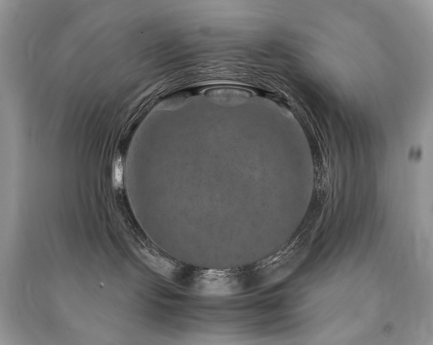 X0000091360095200708101428