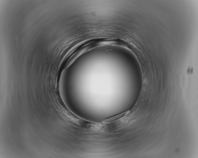 X0000091360096200708101428