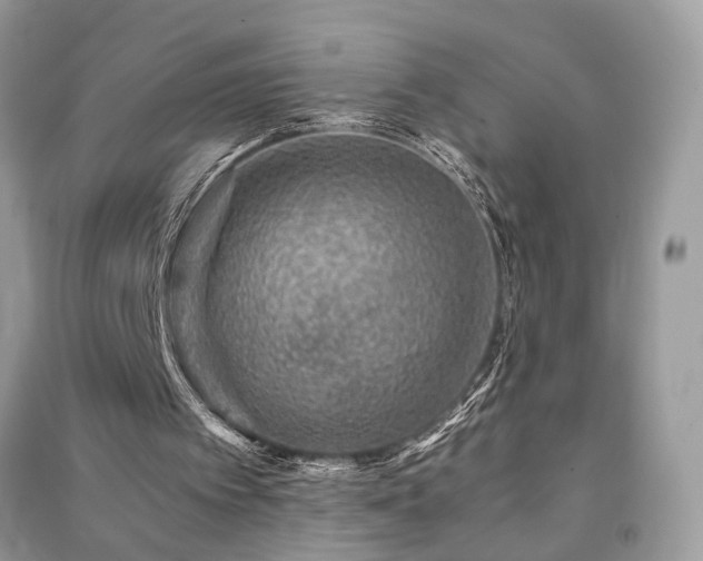 X0000091360097200708101427