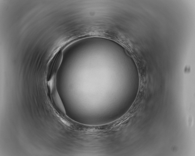 X0000091360098200708101427