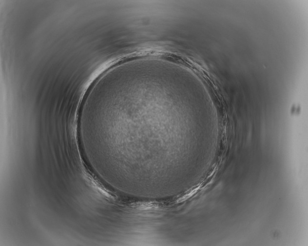 X0000091360100200708101427