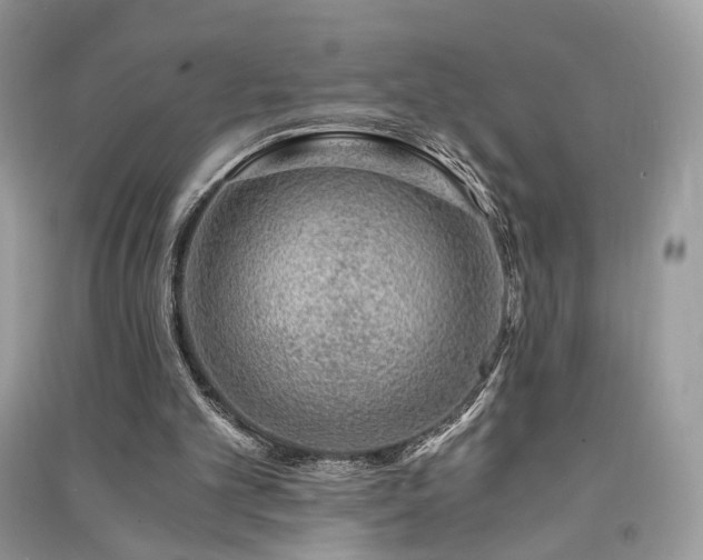 X0000091360101200708101427
