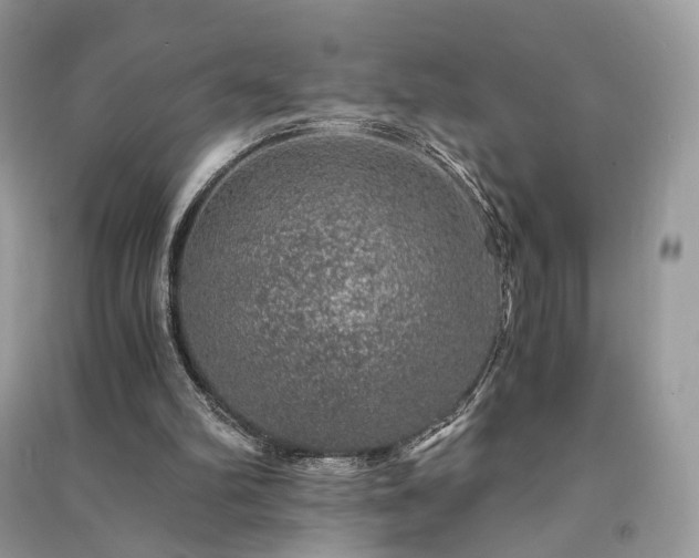 X0000091360102200708101427