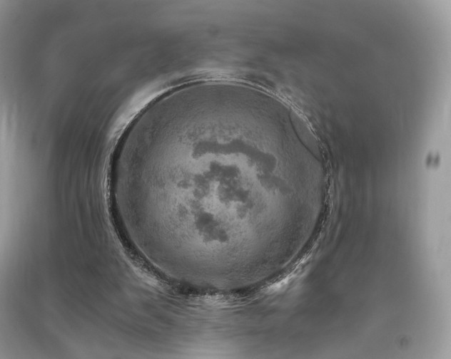 X0000091360103200708101427