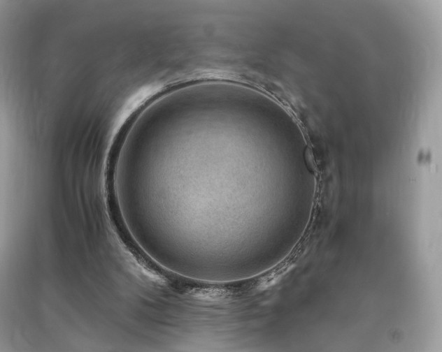 X0000091360104200708101427