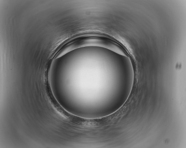 X0000091360105200708101427