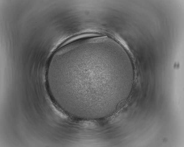 X0000091360106200708101427