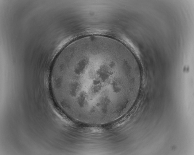 X0000091360107200708101427