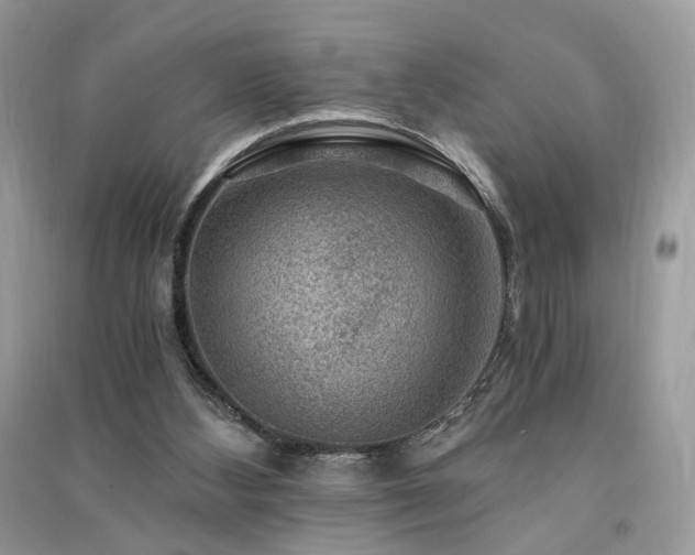X0000091360108200708101427