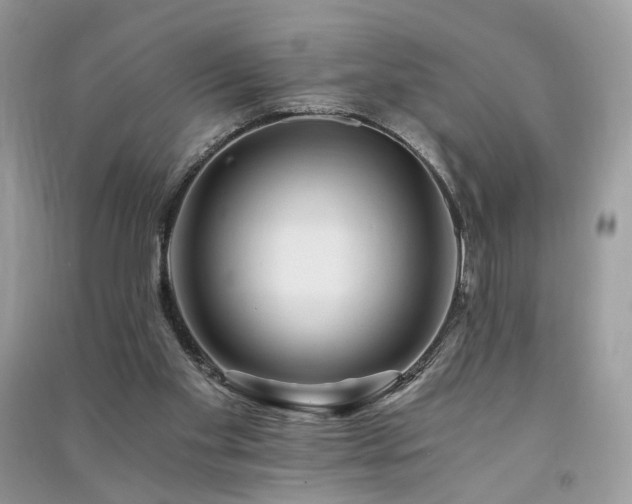 X0000091360109200708101427