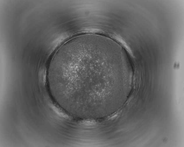 X0000091360110200708101427