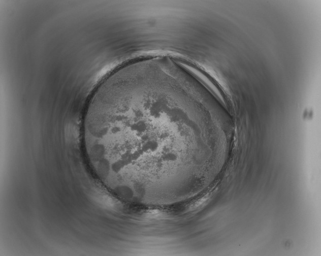 X0000091360111200708101427