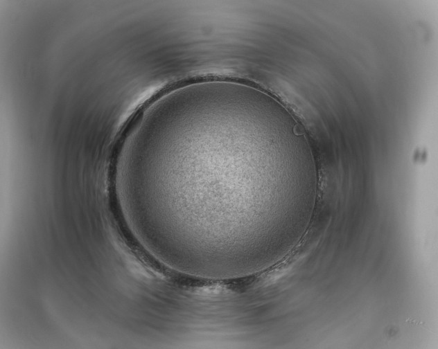 X0000091360112200708101427