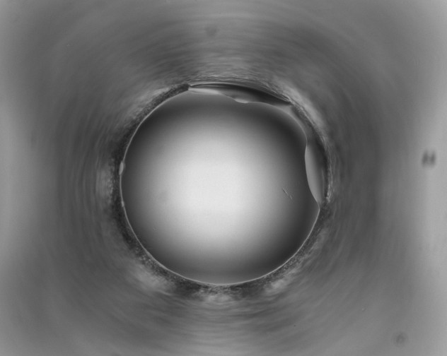X0000091360113200708101427