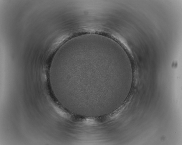 X0000091360114200708101427