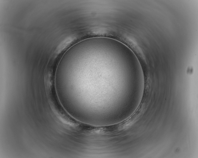 X0000091360116200708101427