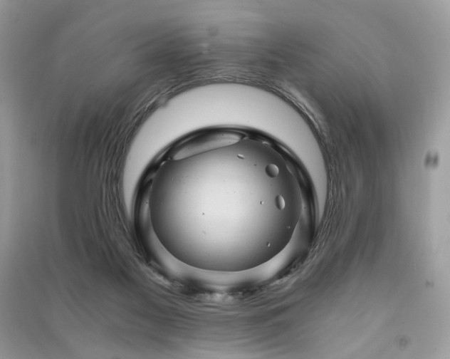 X0000091360117200708101427