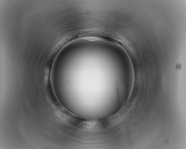X0000091360118200708101427