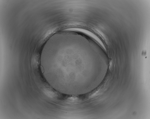 X0000091360119200708101427