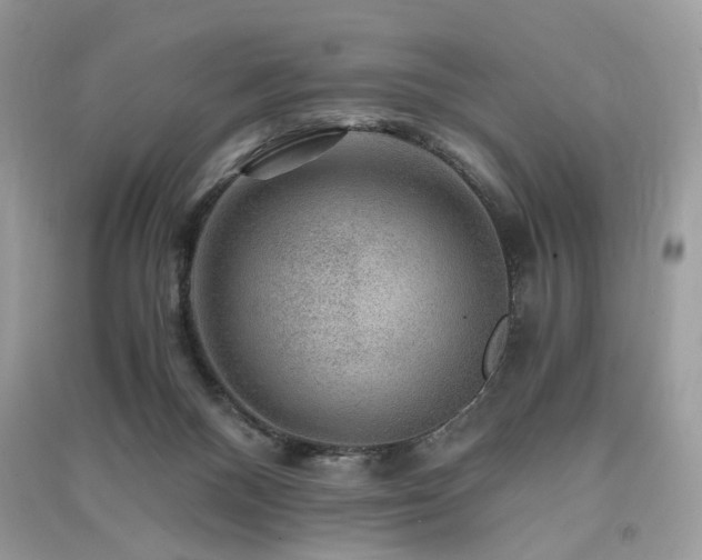 X0000091360120200708101427